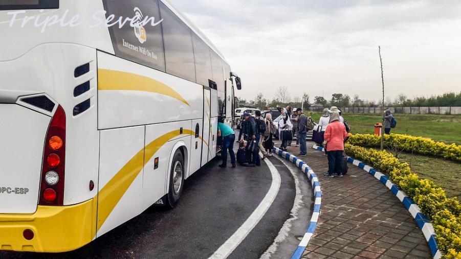 bus2.jpg