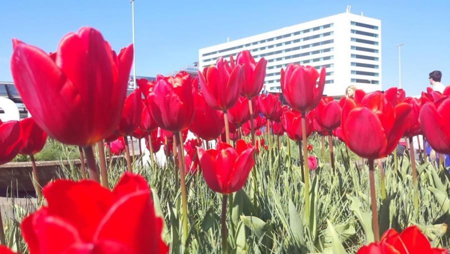 20160508_103736.jpg