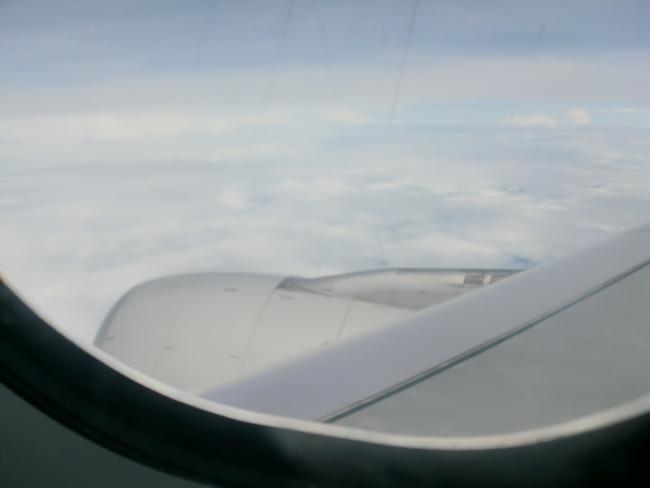 CIMG4433_resize.JPG