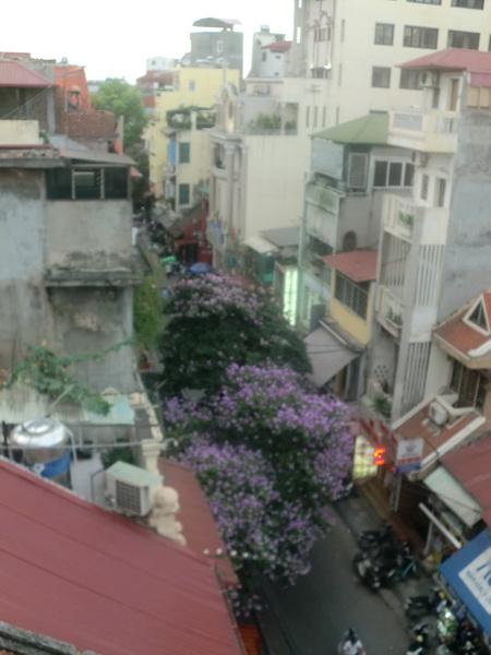 CIMG4373_resize.jpg