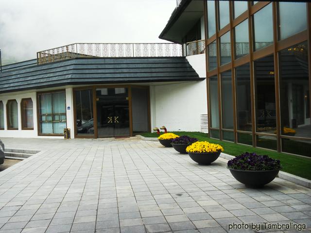 SDC15763.jpg