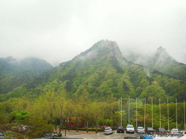 SDC15729.jpg