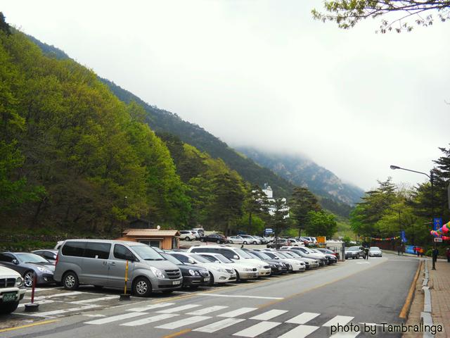 SDC15777.jpg