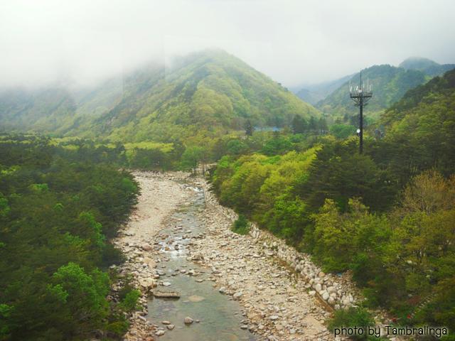 SDC15791.jpg
