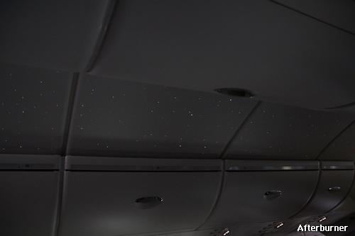 IMG_4232.jpg
