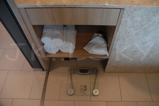 DSC_0234_resize.jpg