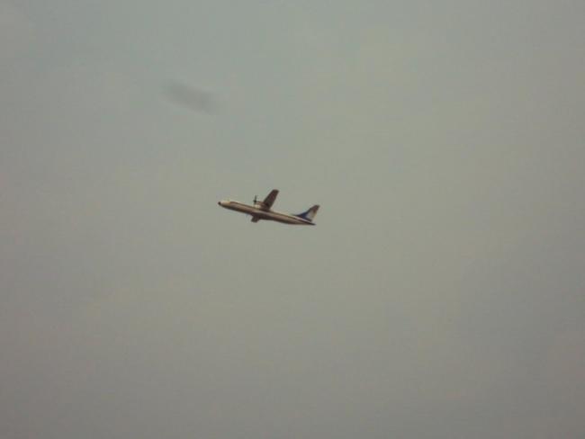 DSC08863_resize_resize.JPG