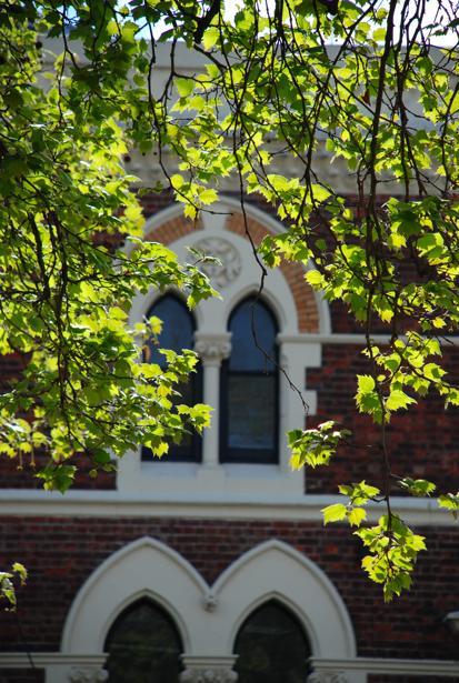 DSC_2199.JPG