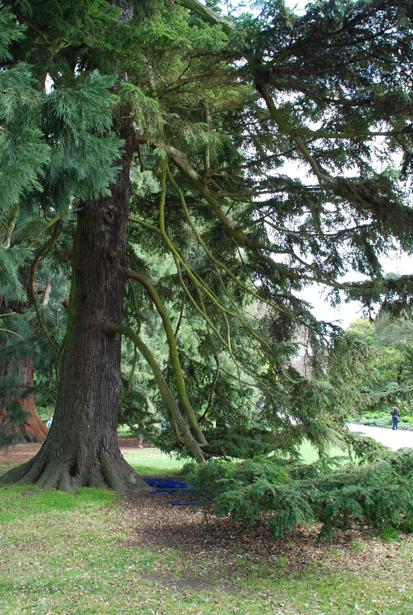 DSC_2265.JPG