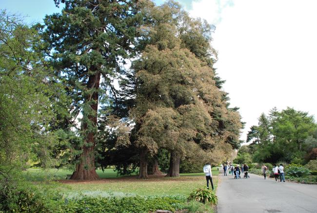 DSC_2257.JPG