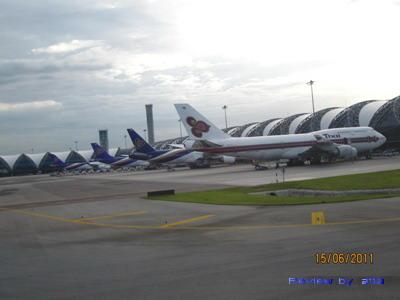 IMG_1550.jpg