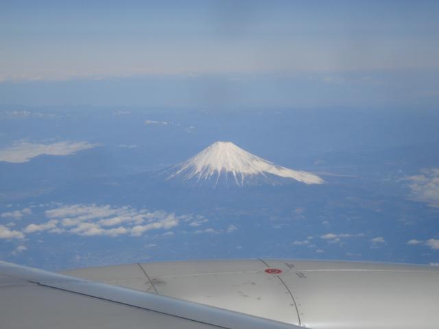 DSC01982.JPG
