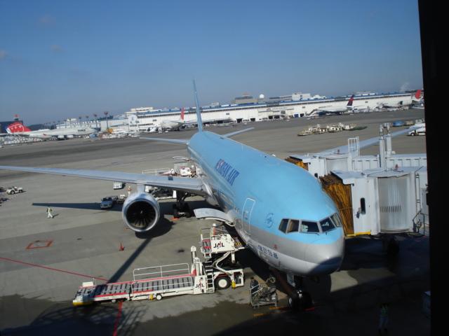 DSC01988.JPG