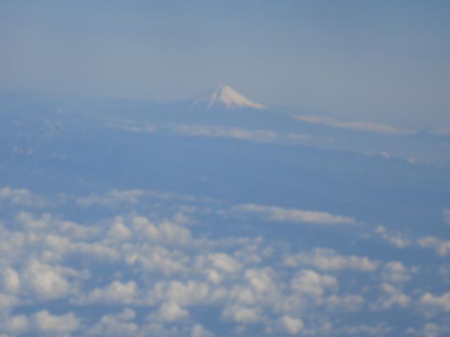DSC01972.JPG