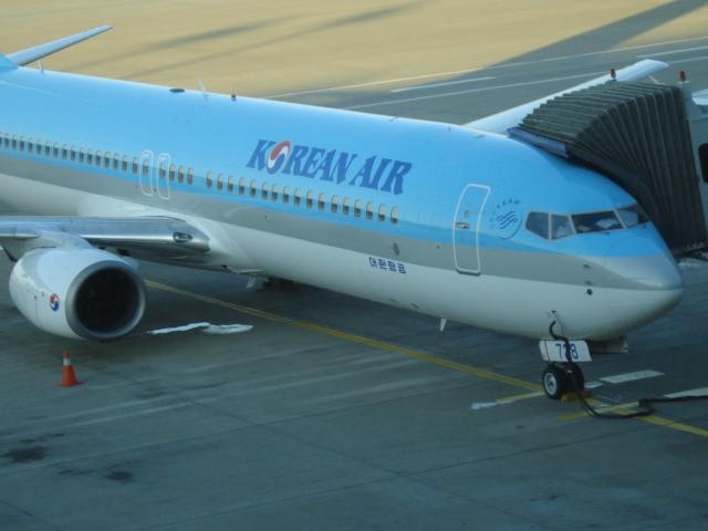 DSC01906.JPG