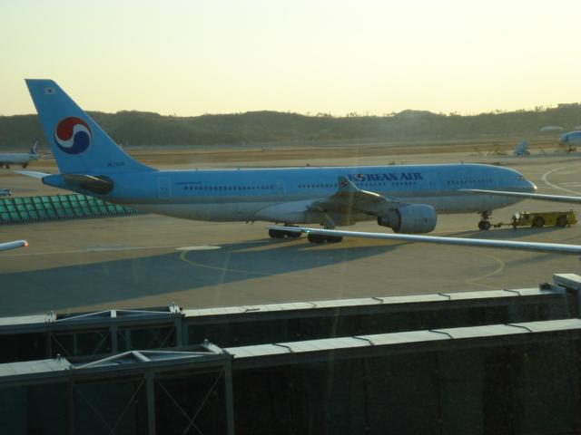 DSC01875.JPG