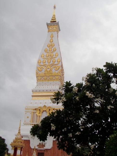 P5040152_resize.JPG