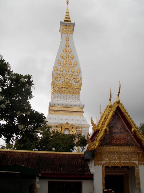 P5040159_resize.JPG