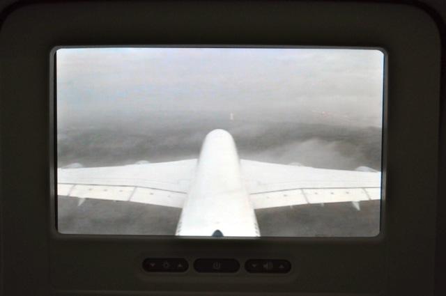 DSC_9514.jpg