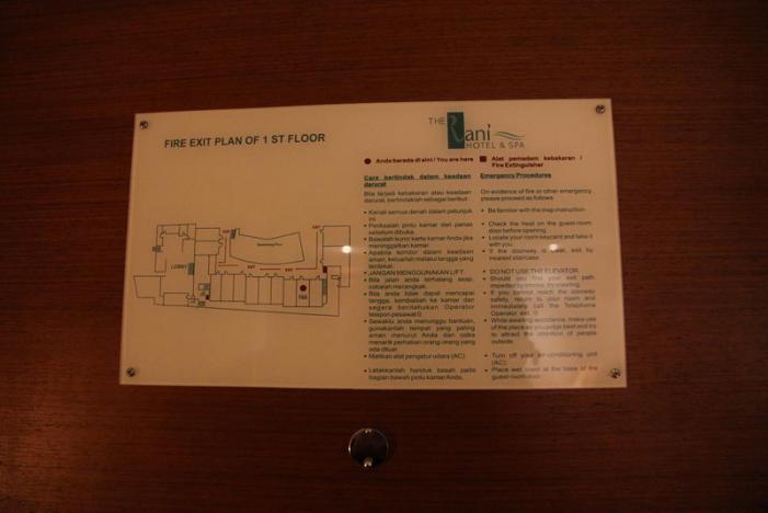IMG_3949_resize.JPG