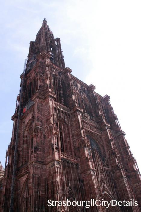 _MG_9810.jpg