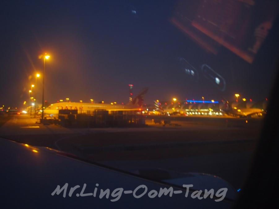 batch_P2280751.JPG