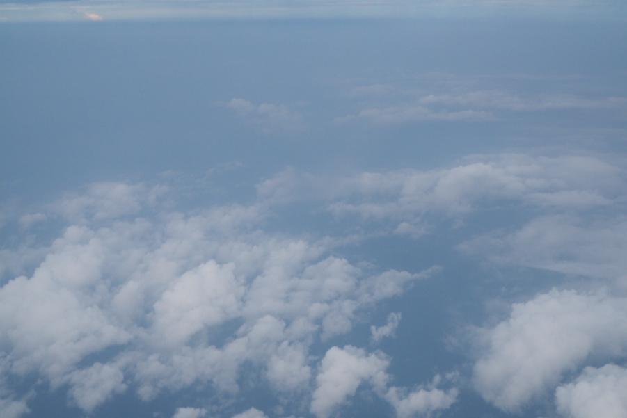 P5290733.JPG