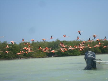 DSC01624.JPG