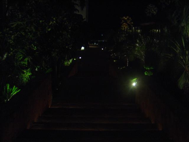 p176.jpg