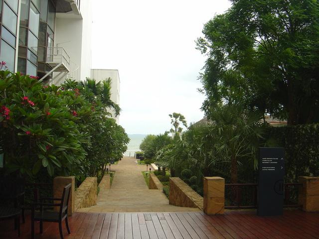 p16.jpg