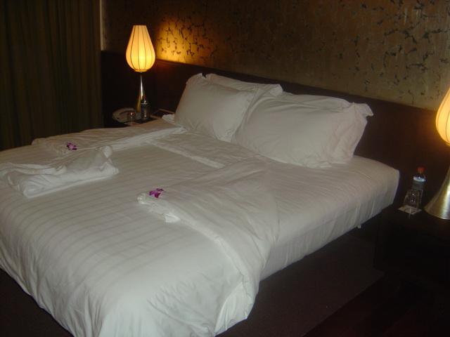 p186.jpg