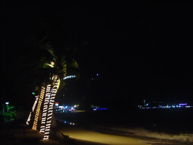 p169.jpg