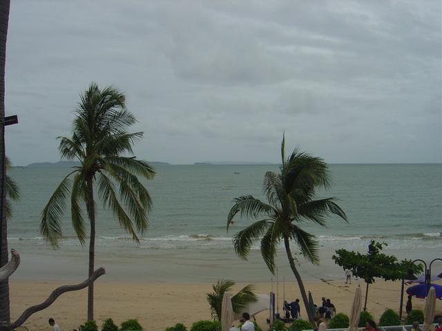 p228.jpg