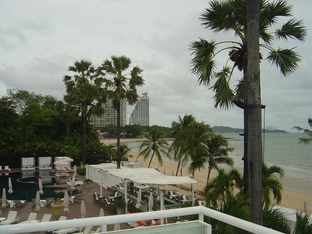 p227.jpg