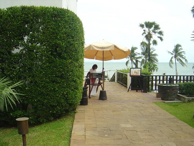 p193.jpg
