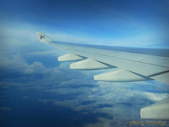SDC17291.jpg
