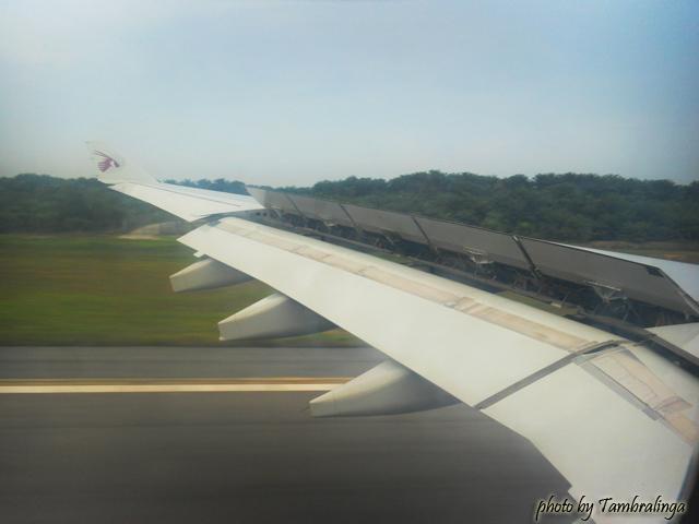 SDC17319.jpg