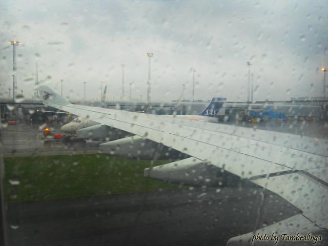 SDC17437.jpg