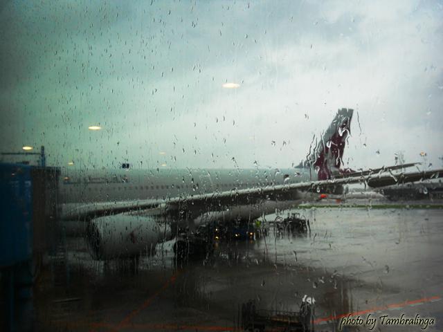 SDC17439.jpg