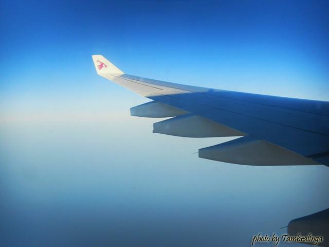 SDC17400.jpg