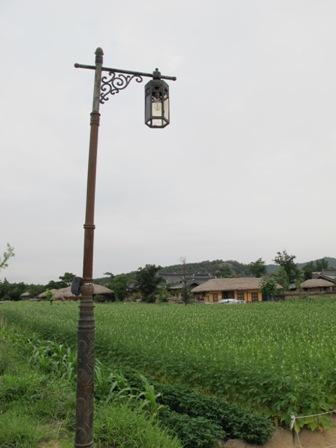 IMG_3559.JPG