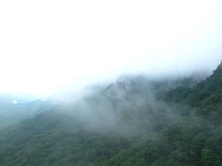 IMG_3005.JPG