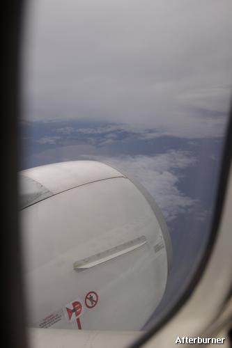 IMG_4565.jpg