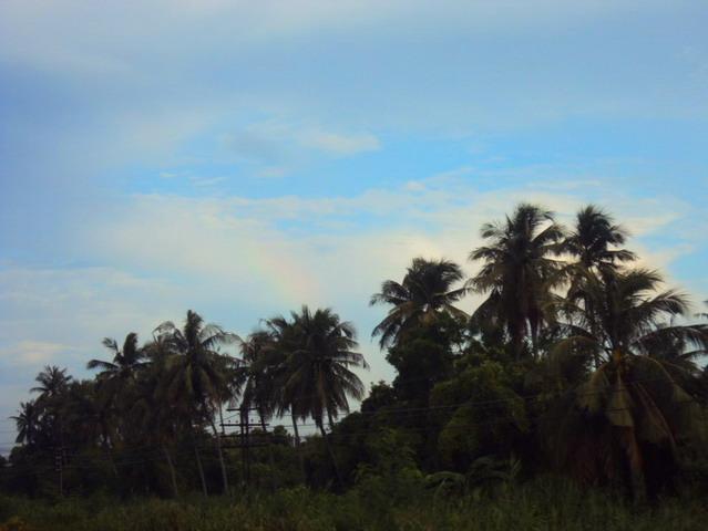 DSC08850_resize_resize_resize.JPG