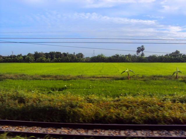 DSC08852_resize_resize_resize.JPG