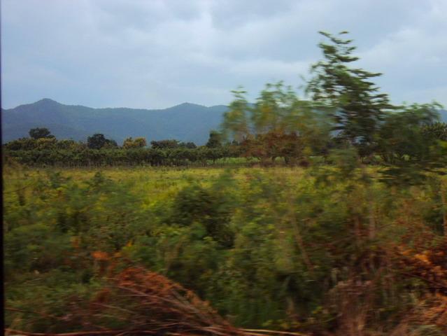 DSC08987_resize_resize_resize.JPG