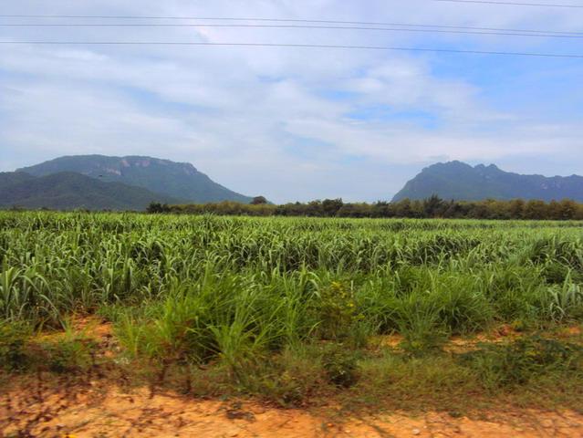 DSC09056_resize_resize_resize.JPG