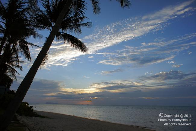 samui_026_N_hf.jpg