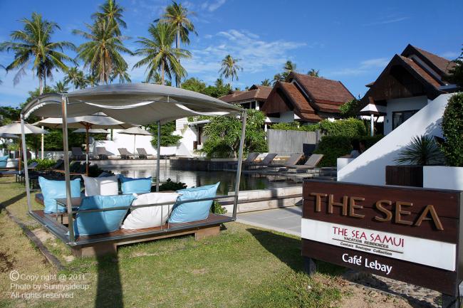 samui_001_hf.jpg