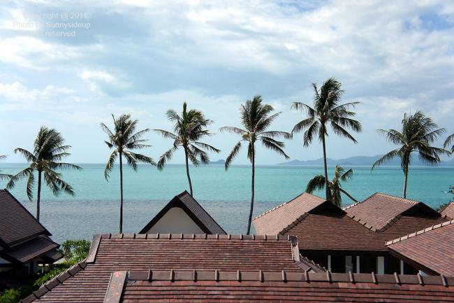 samui_094_N_hf.jpg